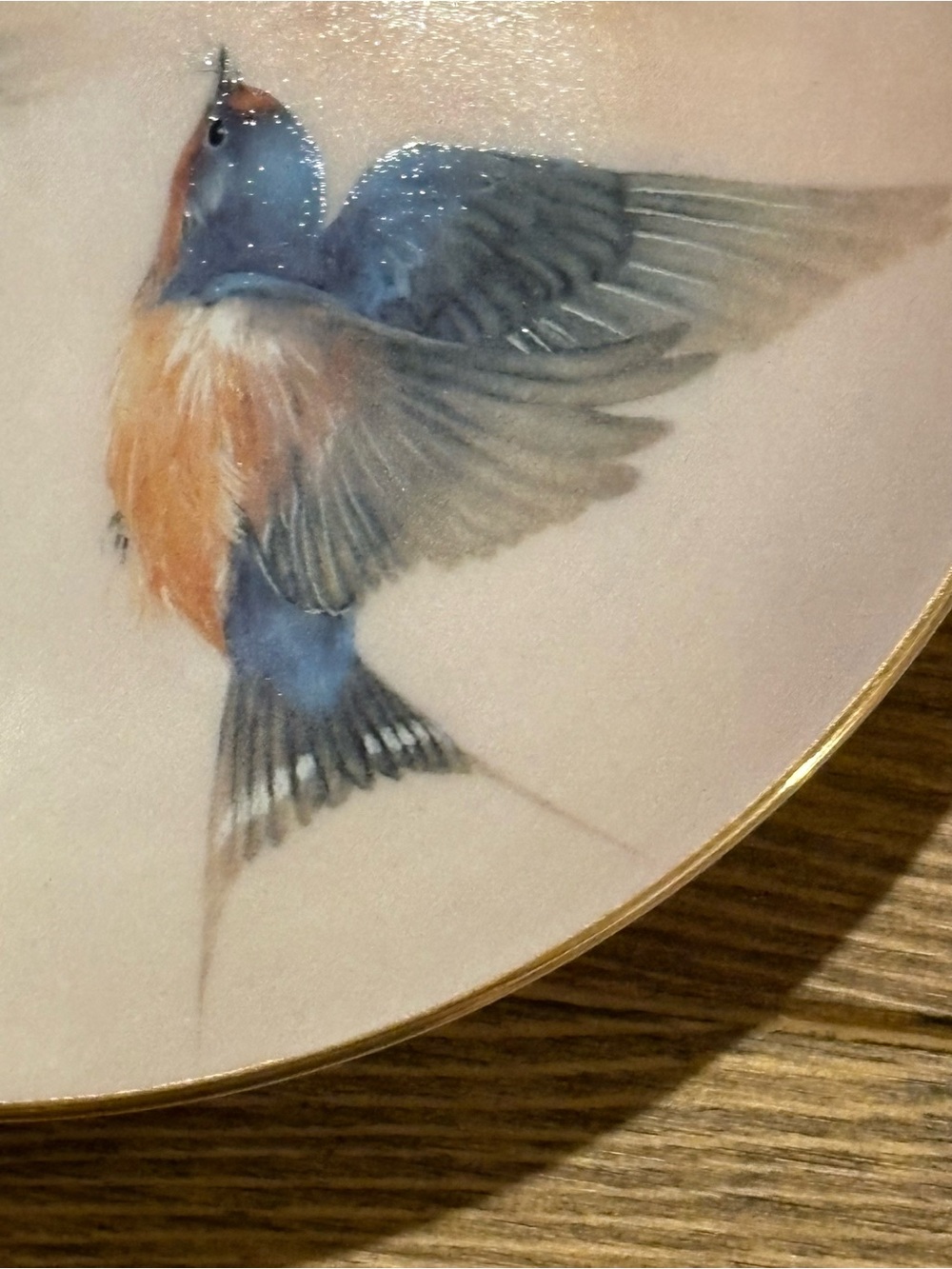 Bradford Exchange collector plate birds November Lena Liu Bless This House - Picture 4 of 5